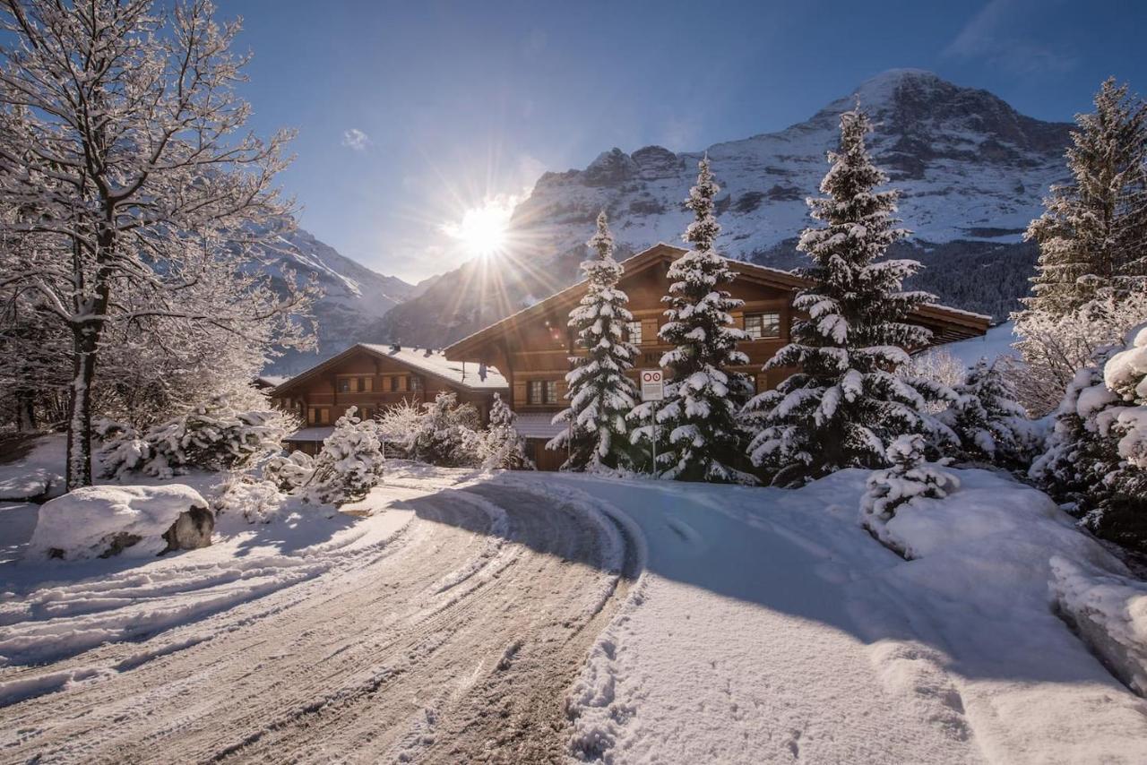 Chalet D グリンデルヴァルト エクステリア 写真
